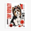 mp840x830mattef8f8f8t pad1000x1000f8f8f8 - Yorkshire Terrier Gifts UK