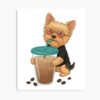 mp840x830mattef8f8f8t pad1000x1000f8f8f8 2 - Yorkshire Terrier Gifts UK