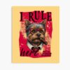 mp840x830mattef8f8f8t pad1000x1000f8f8f8 4 - Yorkshire Terrier Gifts UK